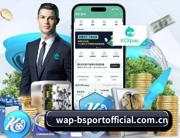 b体育 APP 深度功能